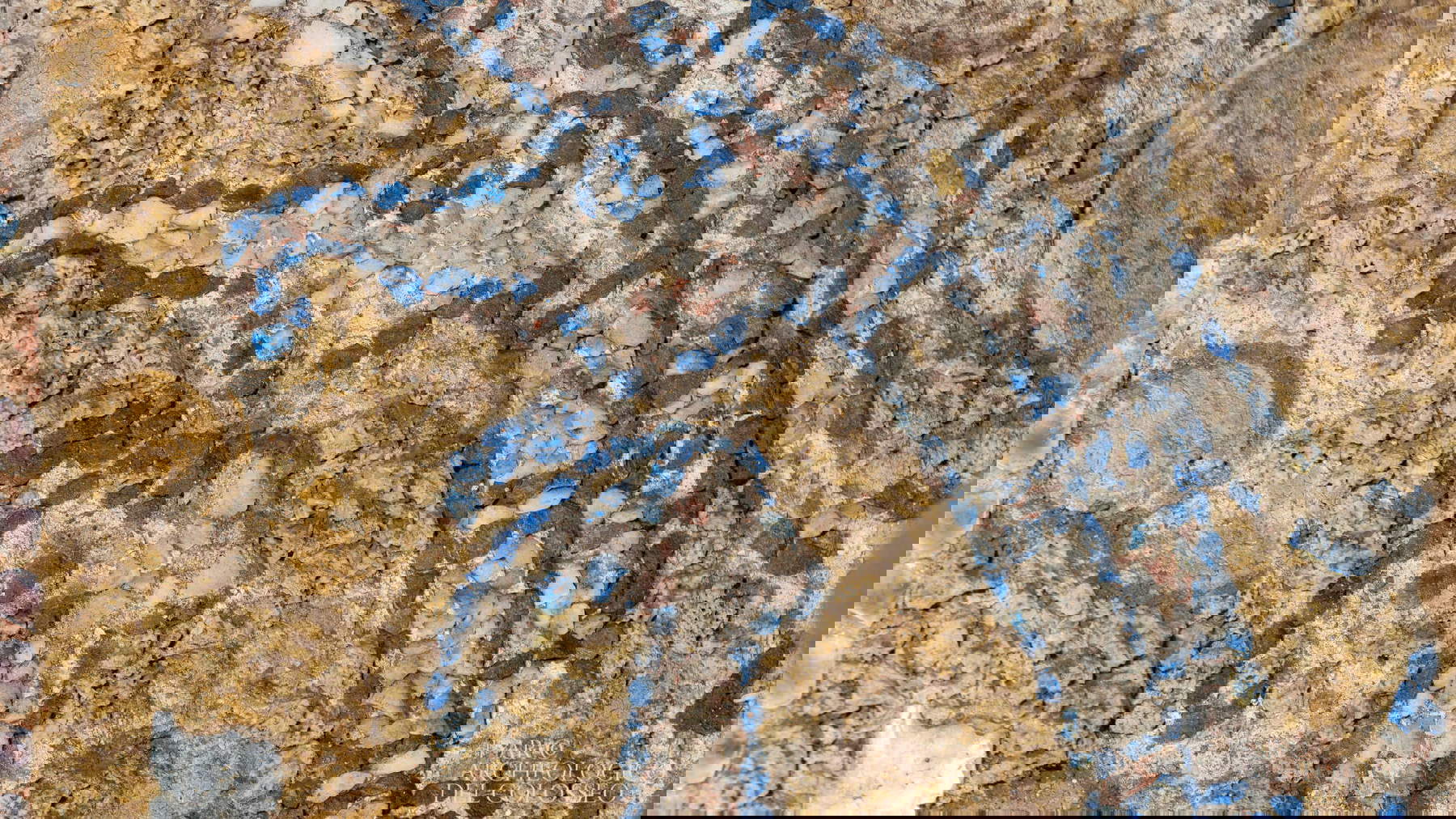 La Domus du Vicus Tuscus. Photo : Simona Murrone