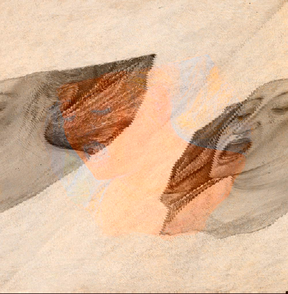 Ercole de' Roberti, Volto di Maria Maddalena piangente, 1482-85 circa; affresco staccato, 39,3 x 39,3 cm; Bologna, Pinacoteca Nazionale) Su concessione del Ministero della Cultura. Foto di Luca Gavagna