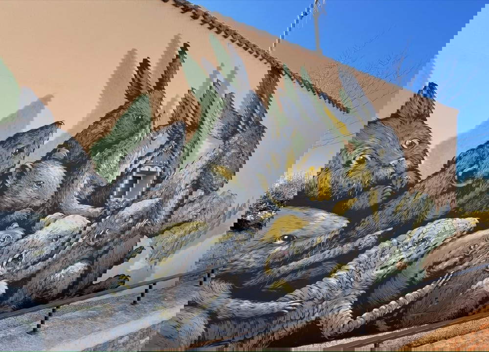 Ericailcane, La búsqueda de la utopía. Crédito: Massimo Colasurdo