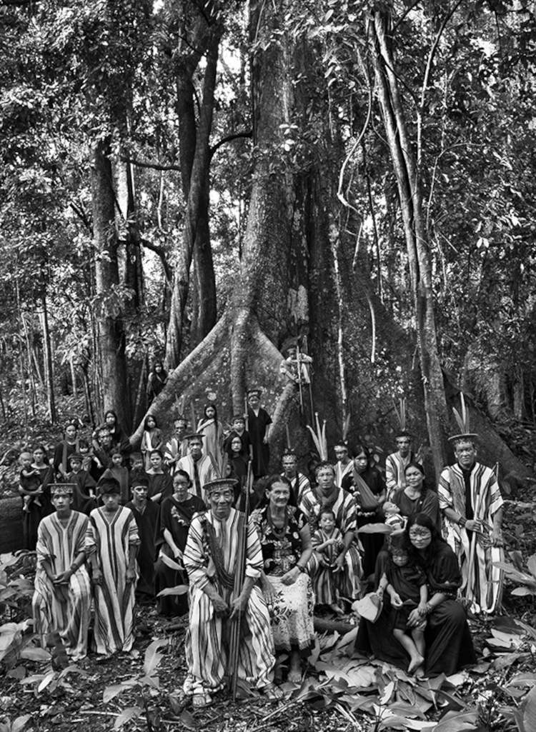 Famille Ashaninka. État d'Acre, Brésil, 2016