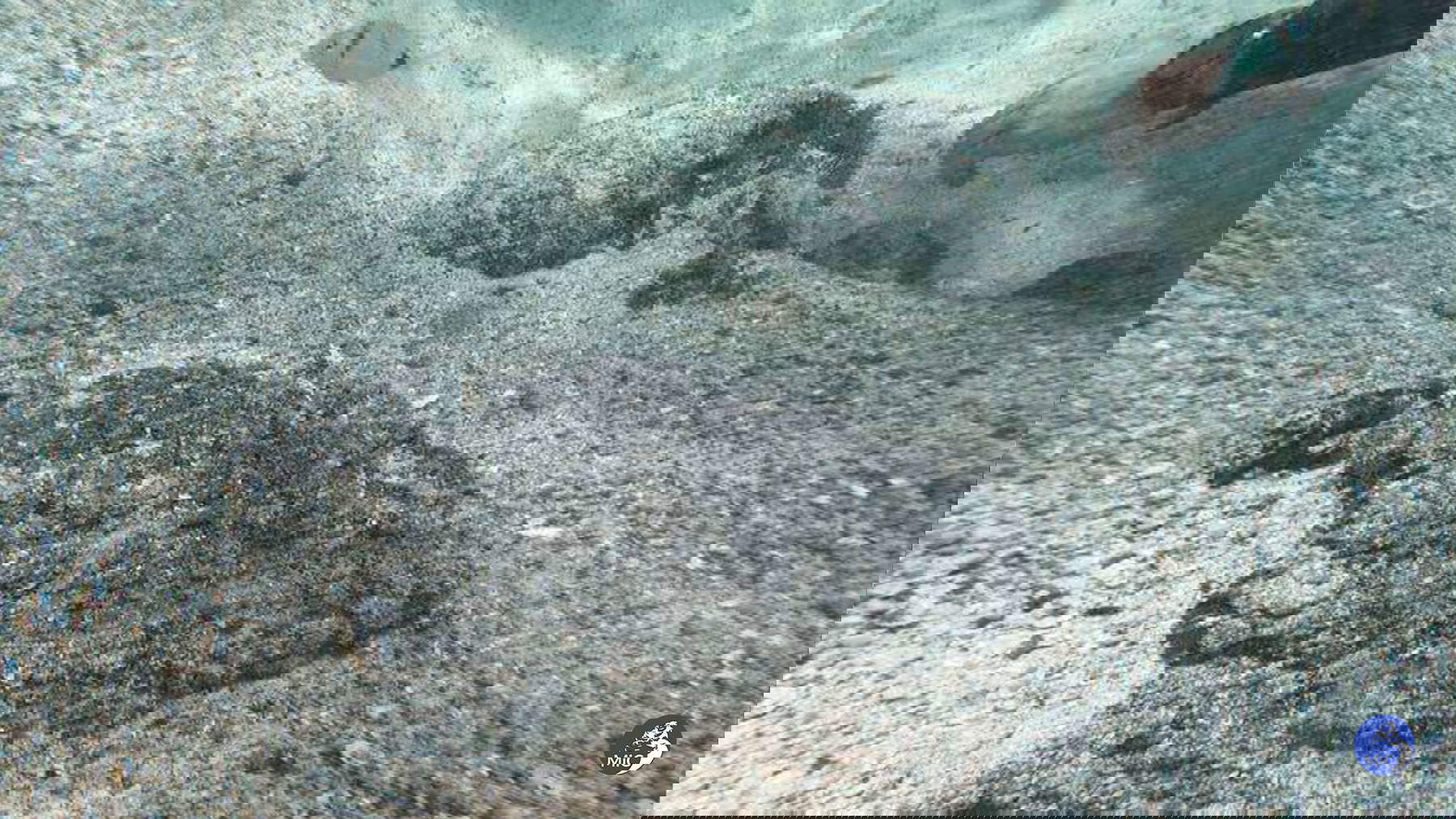 Coins discovered in Arzachena