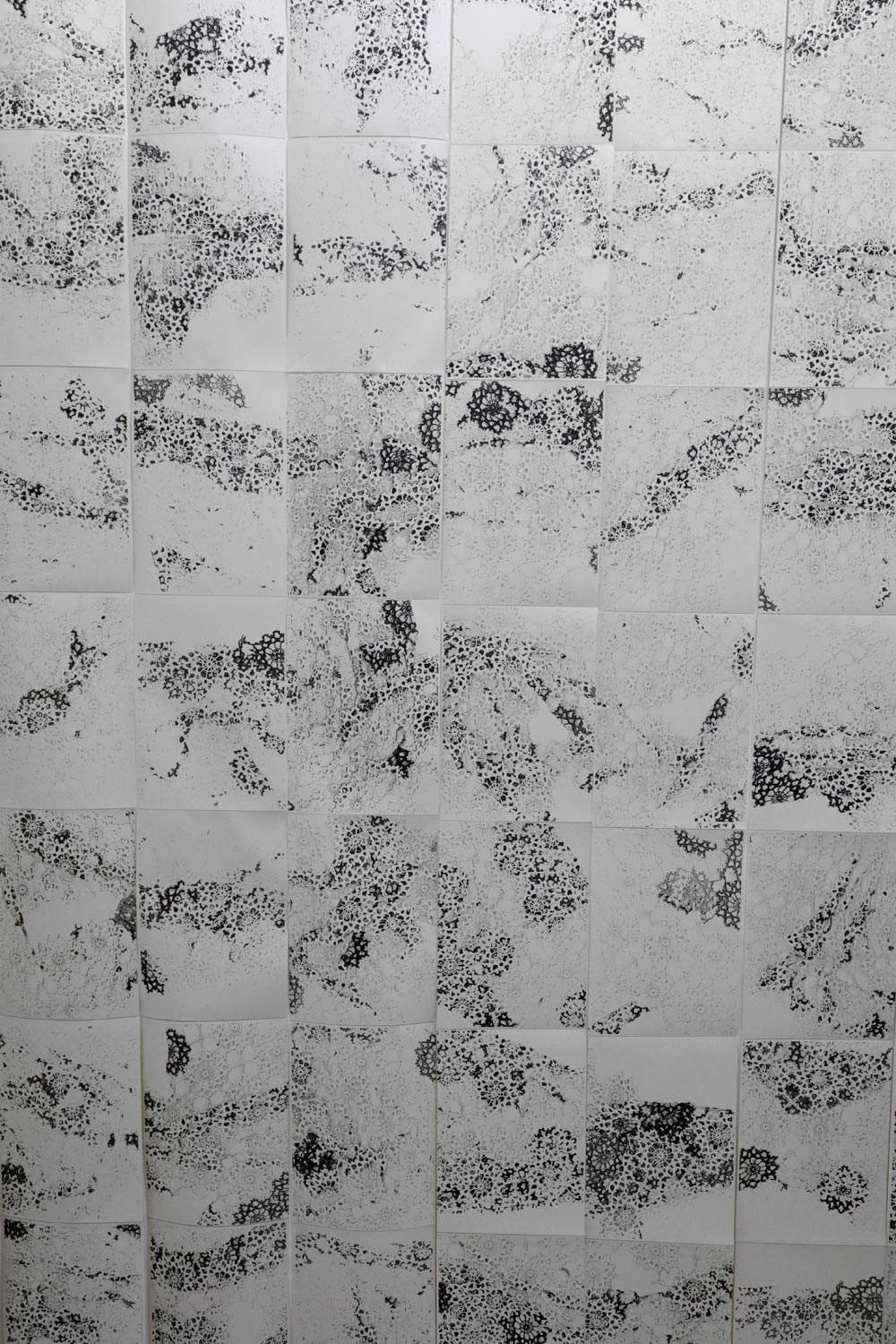 Donzelli, El Asmar, Sgherri, Landi dans Quatorze (Tellaro) Donzelli, El Asmar, Sgherri, Landi dans Quatorze (Tellaro)