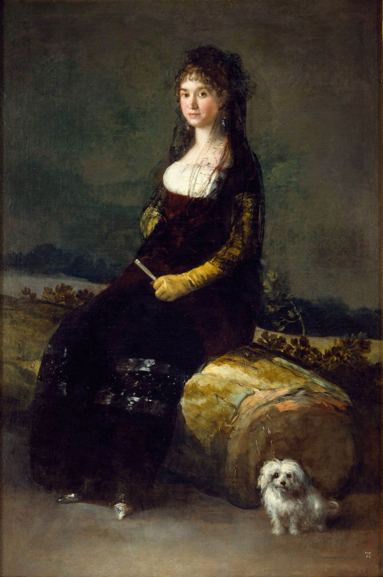 Francisco Goya, Joaquina Candado Ricarte (1802-04; oil on canvas; Valencia, Museo de Bellas Artes) Francisco Goya, Joaquina Candado Ricarte (1802-04; oil on canvas; Valencia, Museo de Bellas Artes)