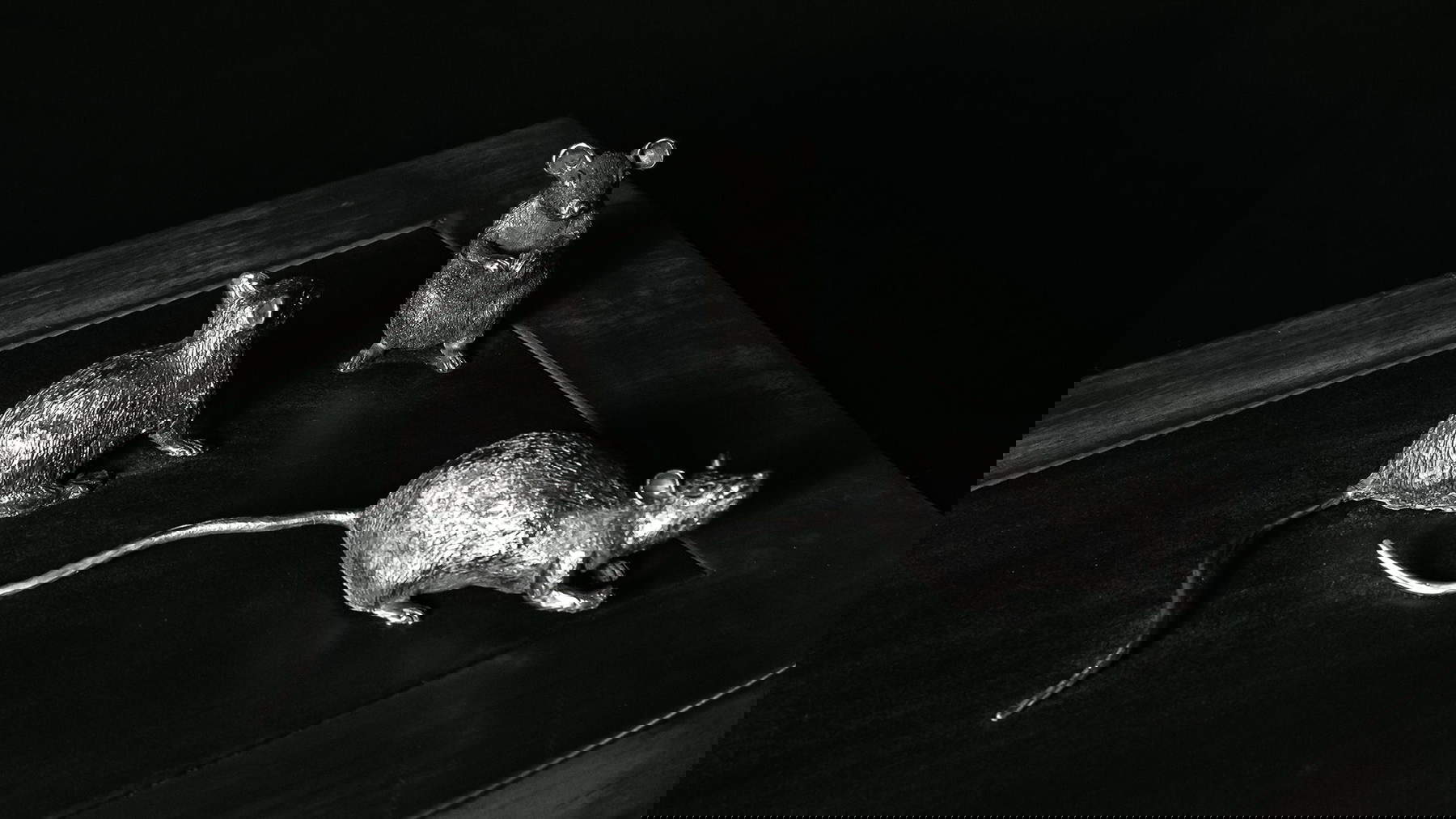 Diseño animalista de Giovanni Raspini