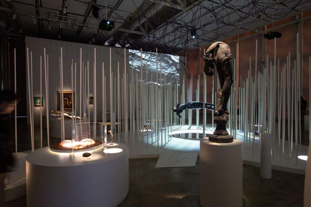 À Bologne, une exposition entre art et science célèbre le 500e anniversaire de la naissance d'Ulisse Aldrovandi