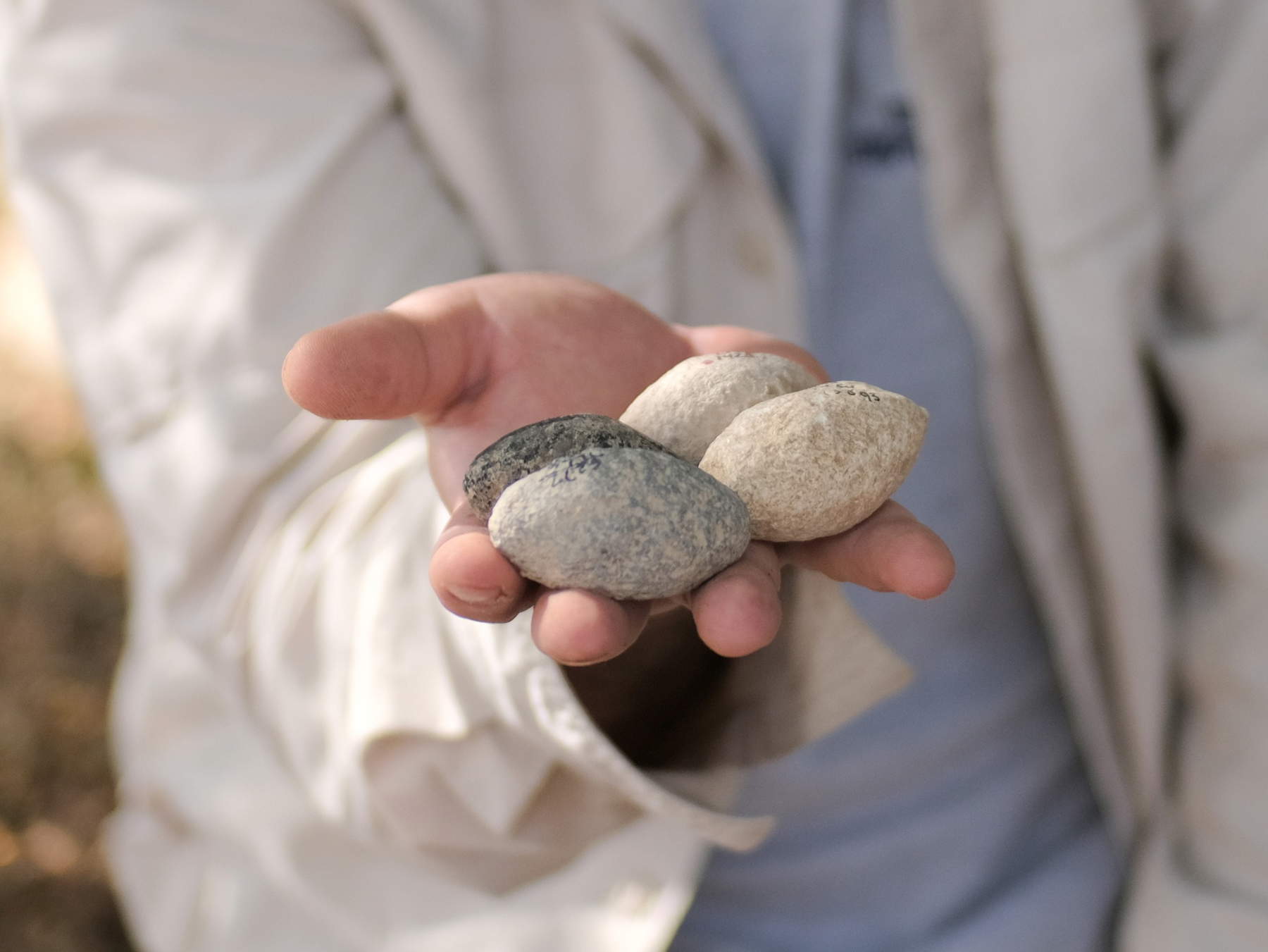 The stones The stones