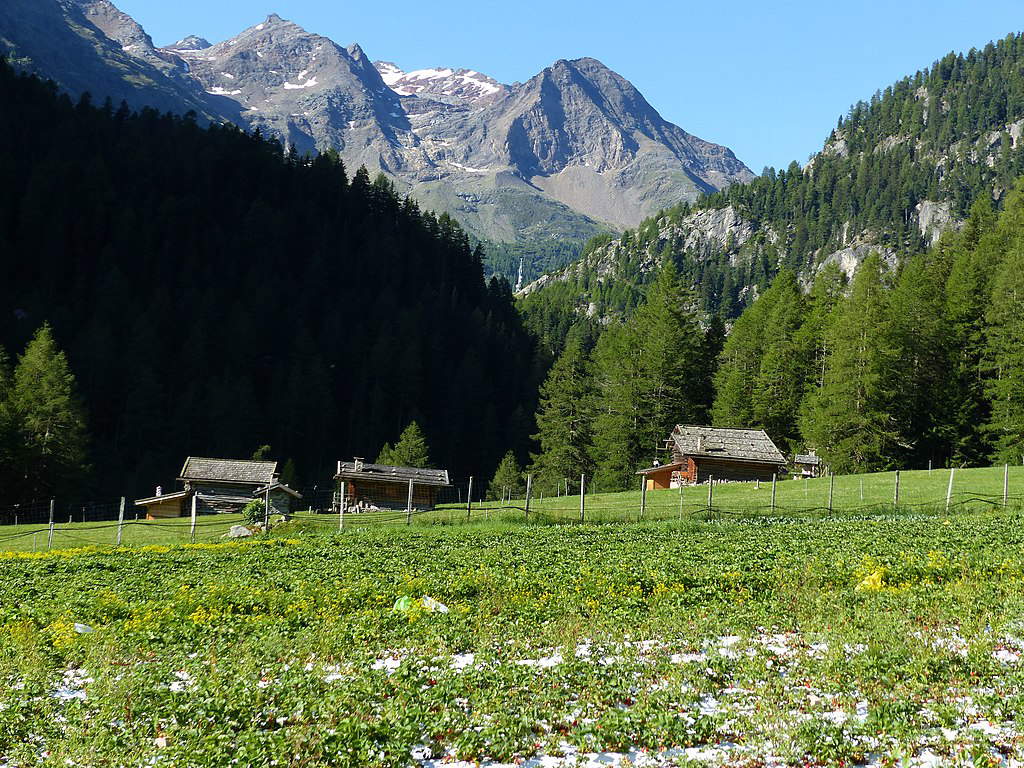 Val Martello Val Martello