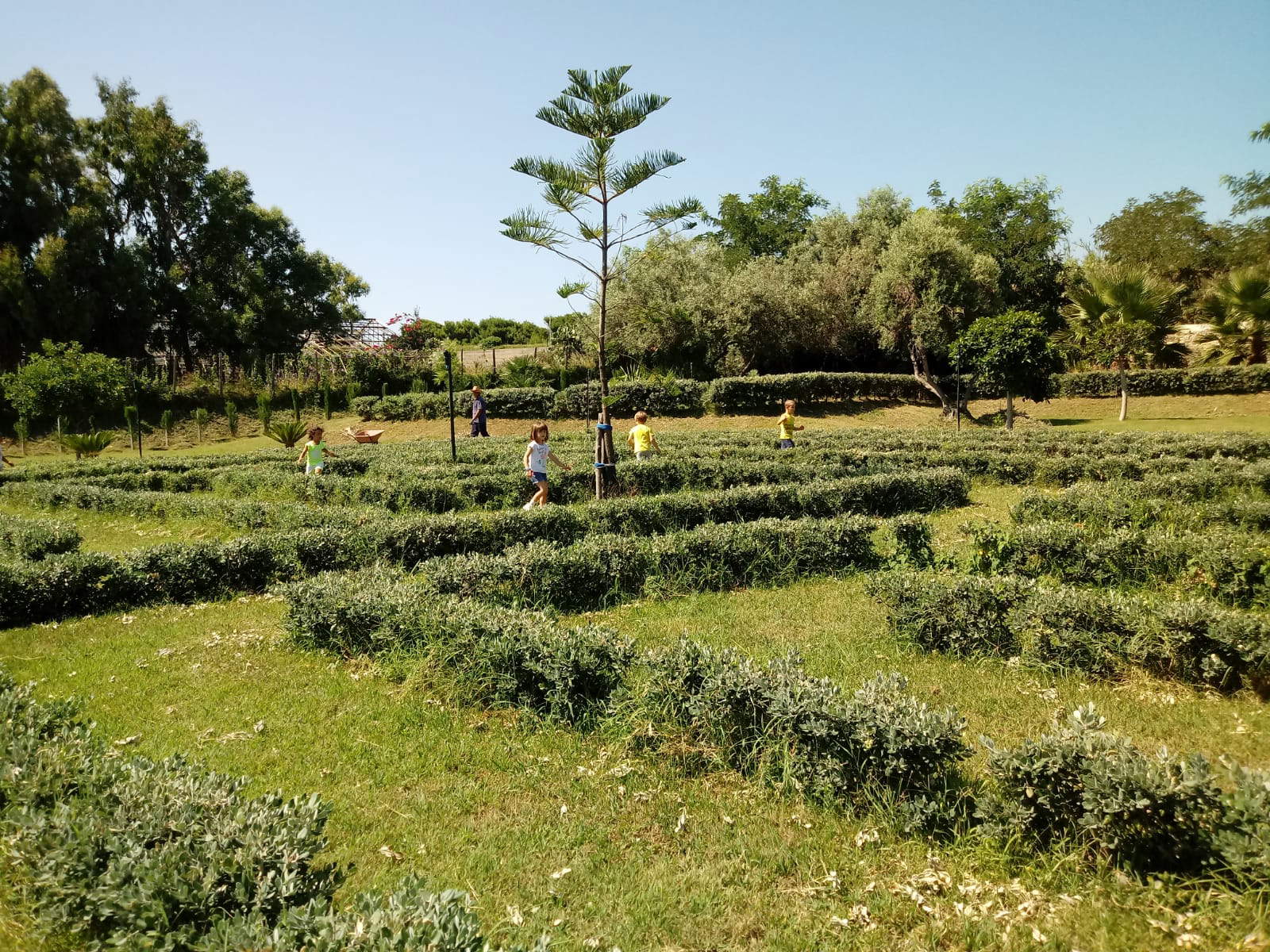 Das Labyrinth von Gigliopoli Das Labyrinth von Gigliopoli