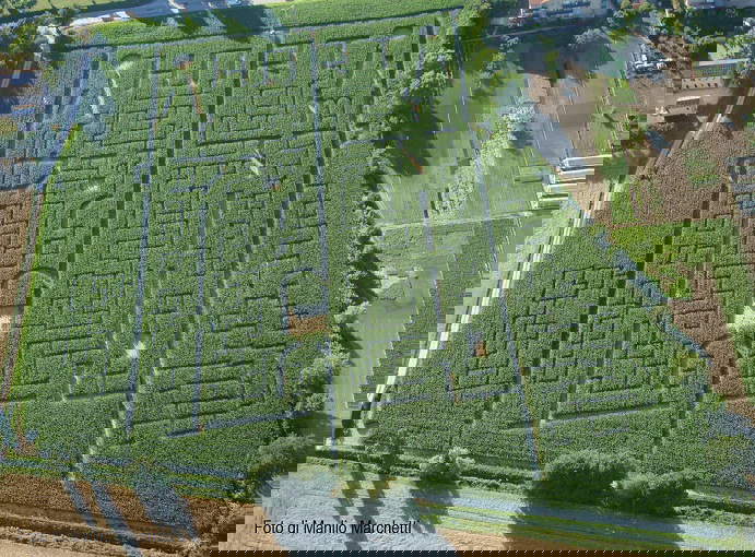 Das Labyrinth von Hort aus dem Jahr 2015