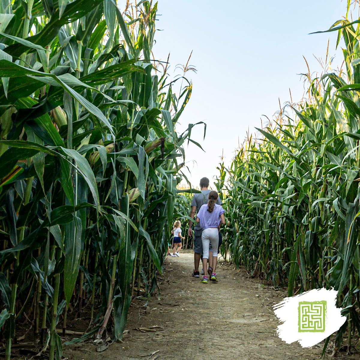 Mäander des Labyrinths von Hort