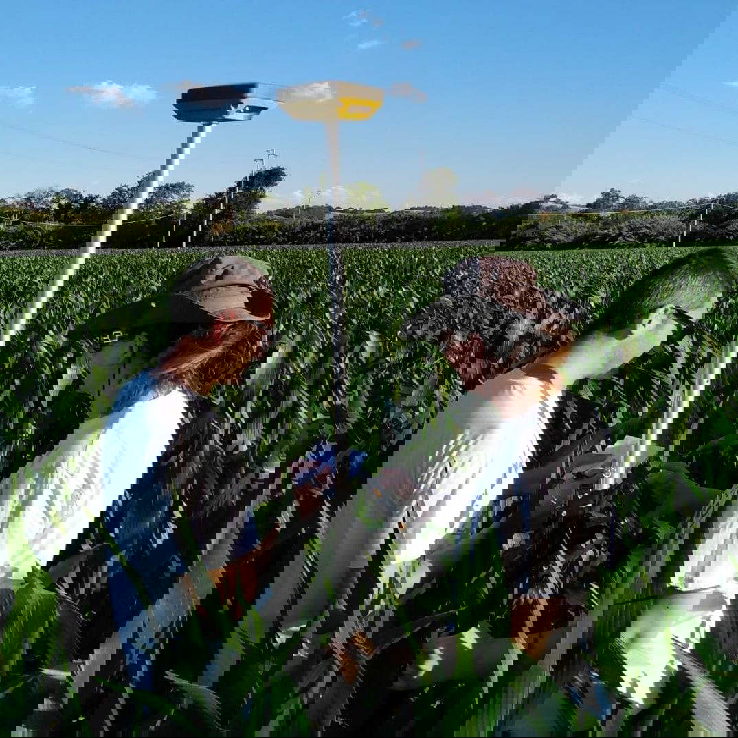 Die Verfolgung des Musters