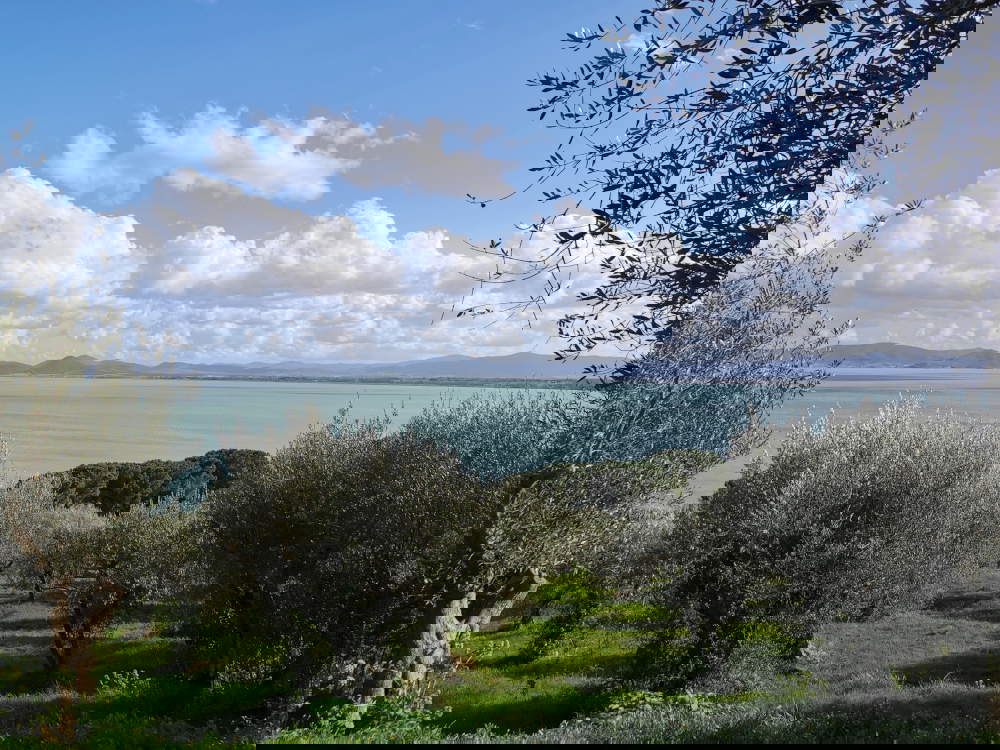 Lake Trasimeno