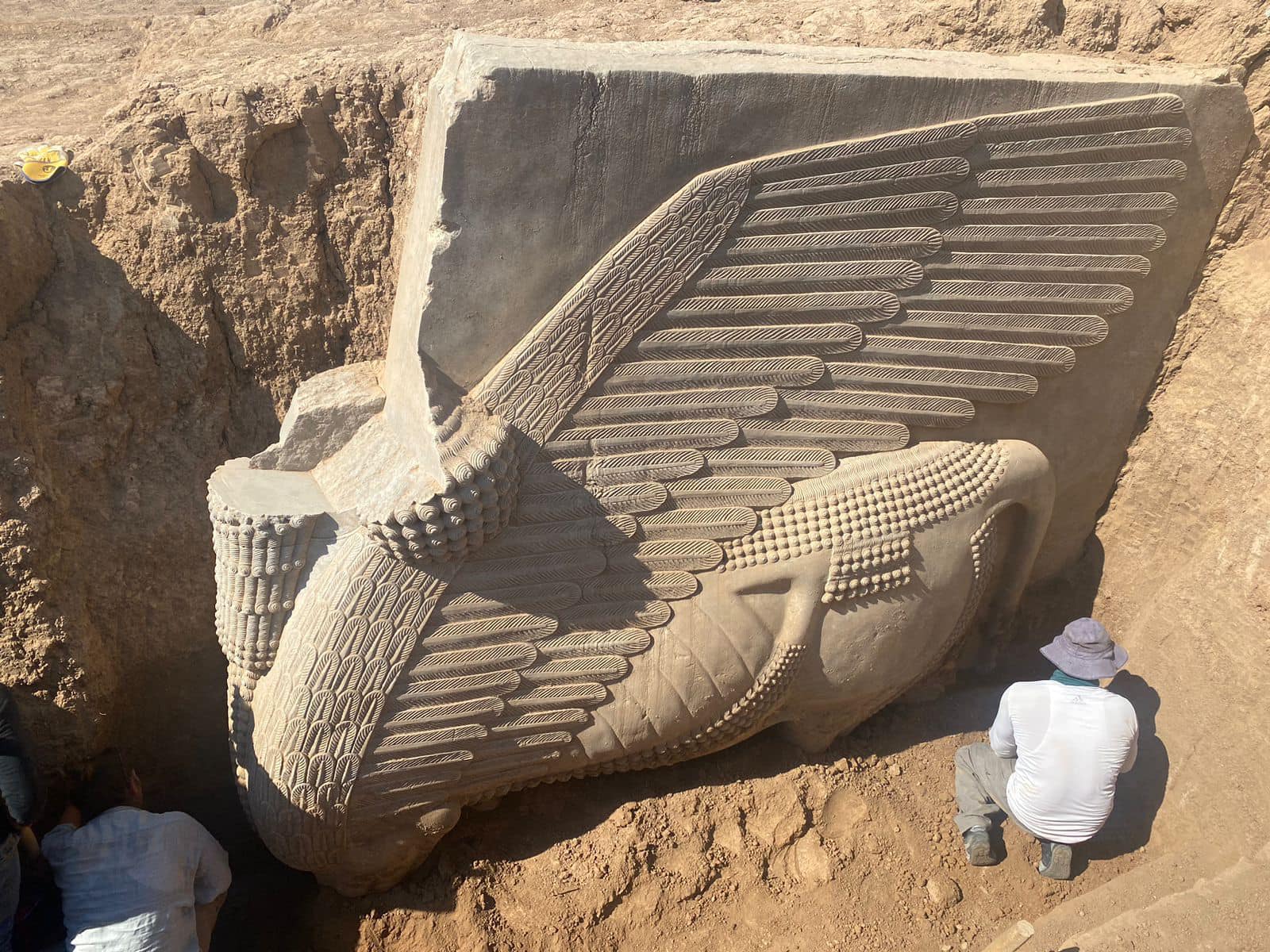 Spektakulärer Fund im Irak. Khorsabad lamassu taucht wieder auf