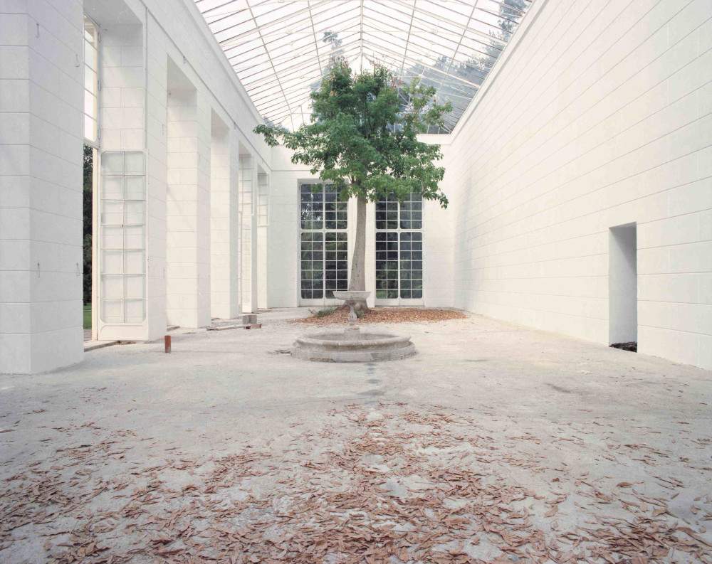 An exhibition in Reggio Emilia reflects on nature starting with the photographs of Luigi Ghirri 