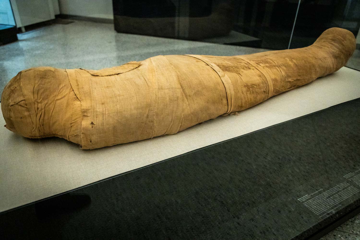 MACA - Mantua Antique Collections