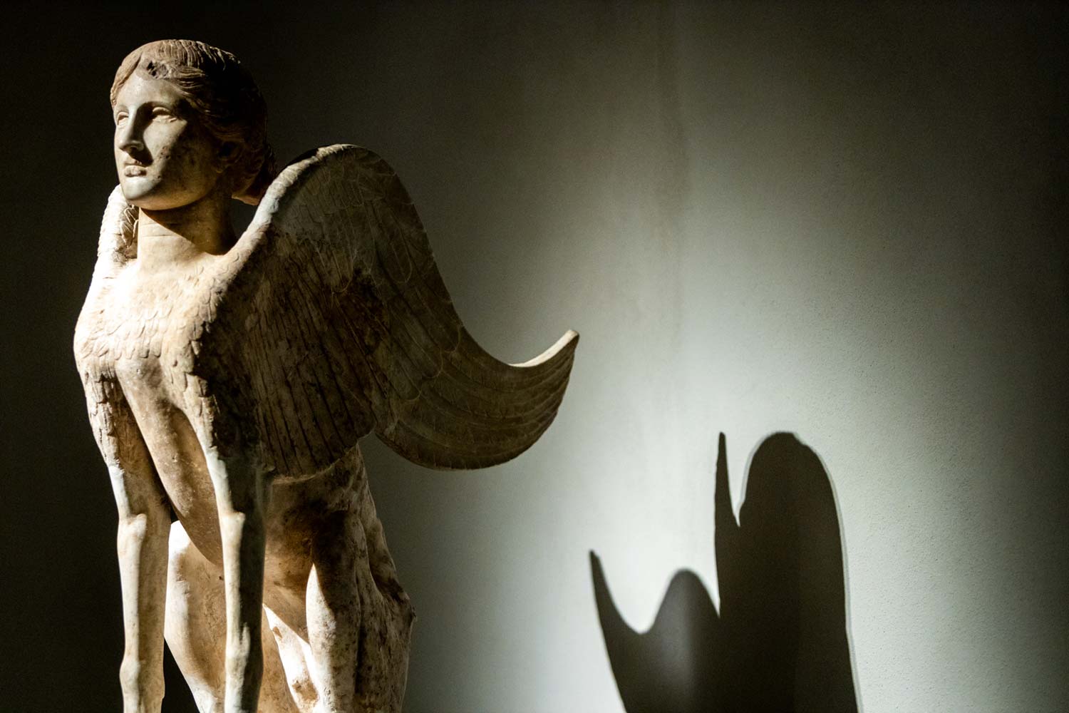 MACA - Mantua Antique Collections