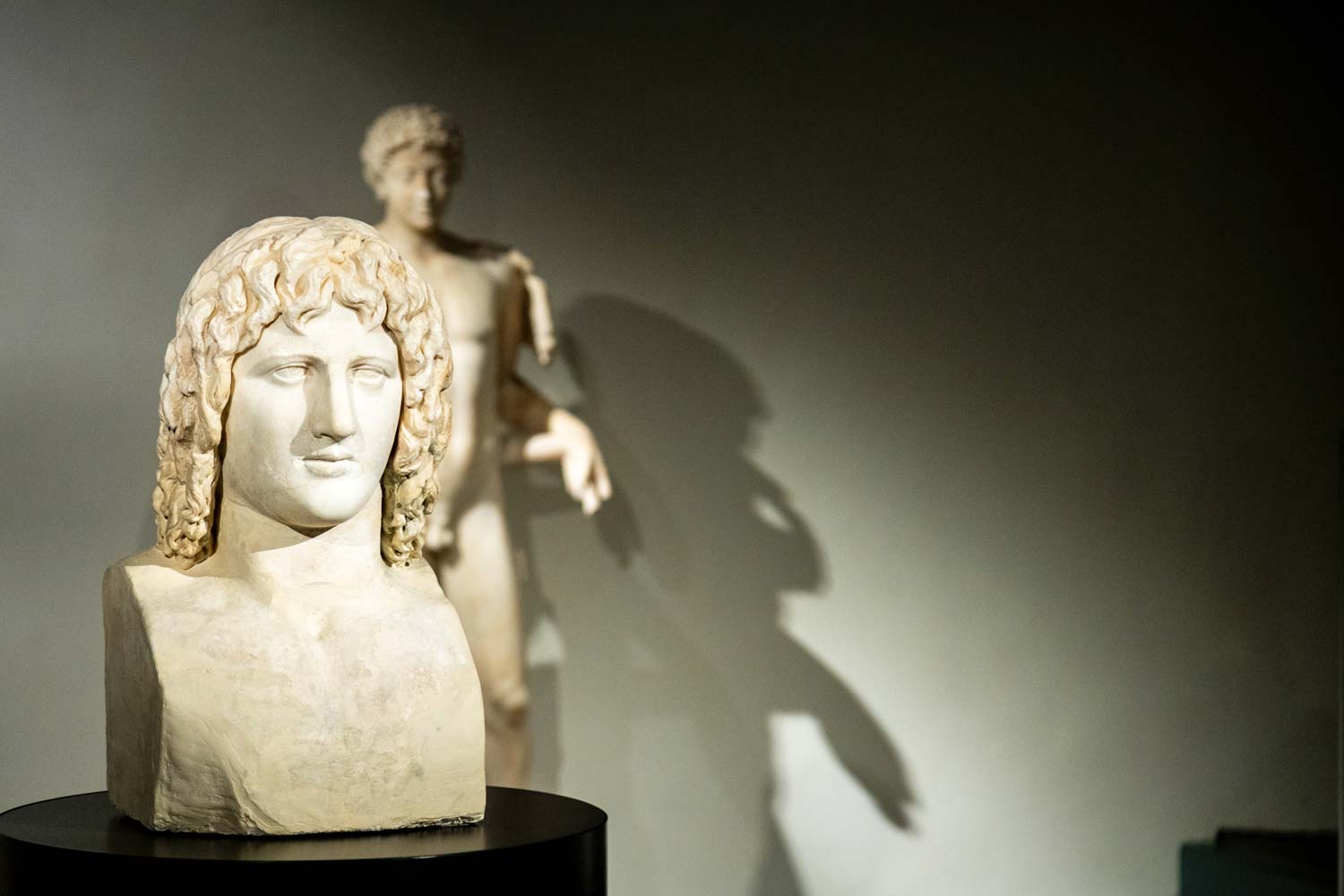 MACA - Mantua Antique Collections