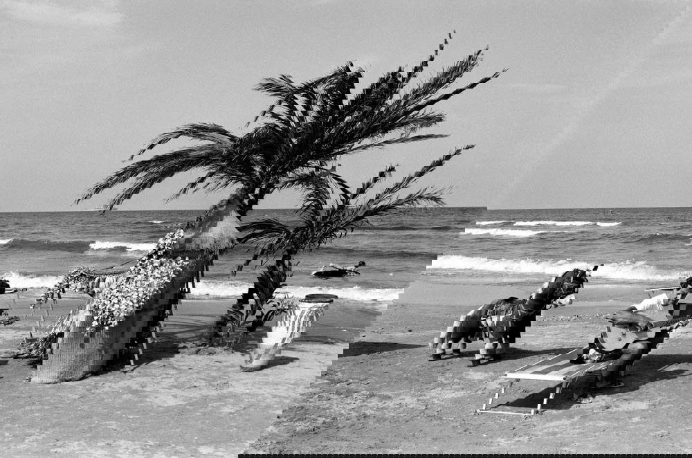 Plage de la Riviera romagnole © Marco Pesaresi
