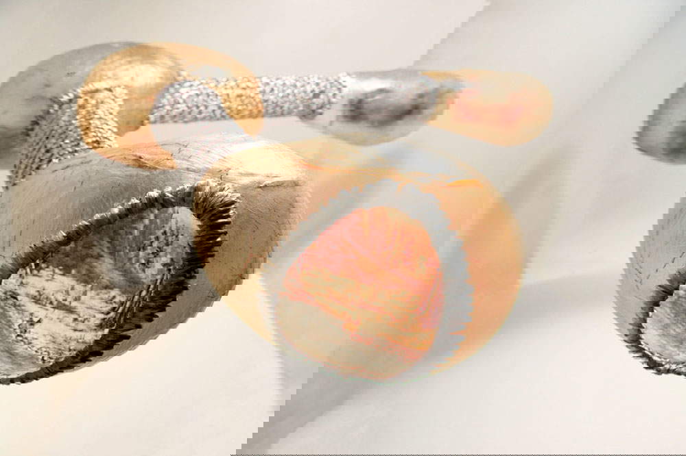 Chicco Margaroli, Ingenuity (2023; vesciche disseccate, fili nylon, fotografie)