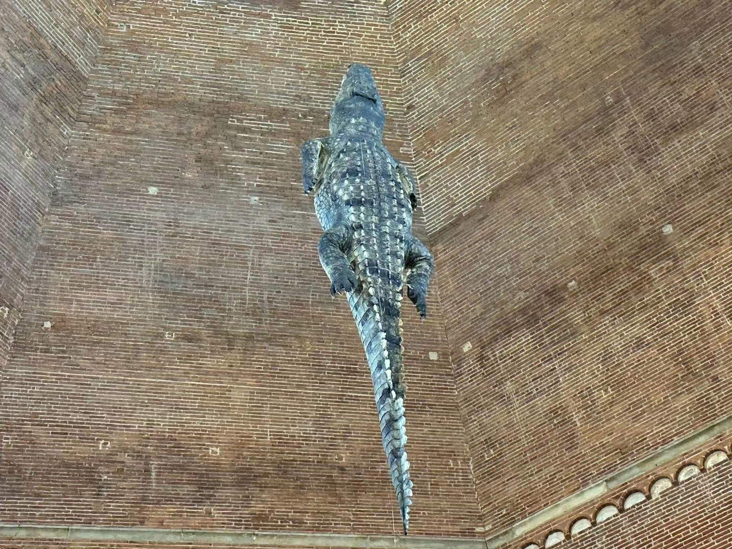 Maurizio Cattelan, Ego (2019). Vue de l'installation au baptistère de Crémone (2023).