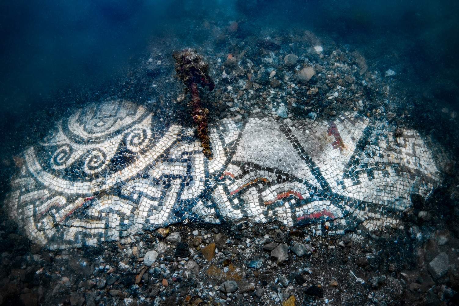 Nouvelle mosaïque submergée découverte à Baia, avec entrelacement de lignes bleues