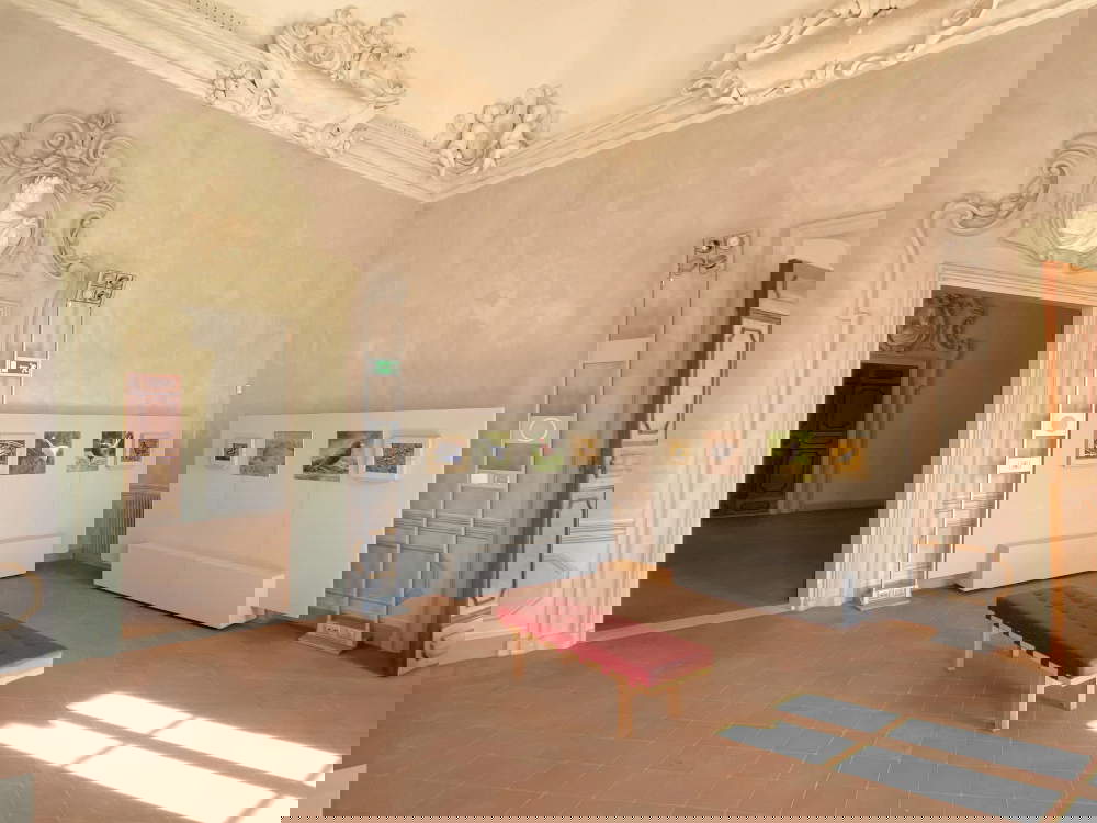 El Patrimonio de la Biodiversidad - Mosaico y Naturaleza en el Palazzo Rasponi dalle Teste