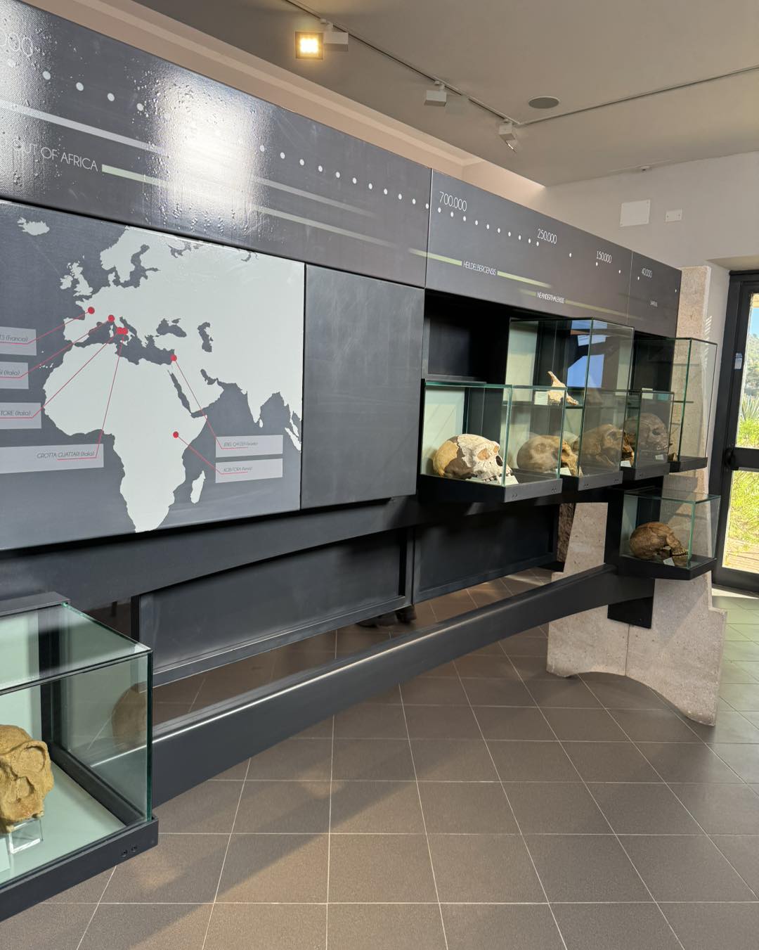 Das neue Museumslayout