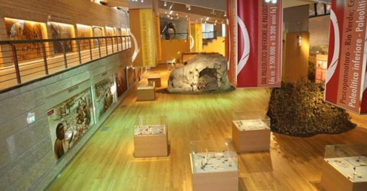 Le musée national du paléolithique d'Isernia rouvre ses portes au public, réaménagé 