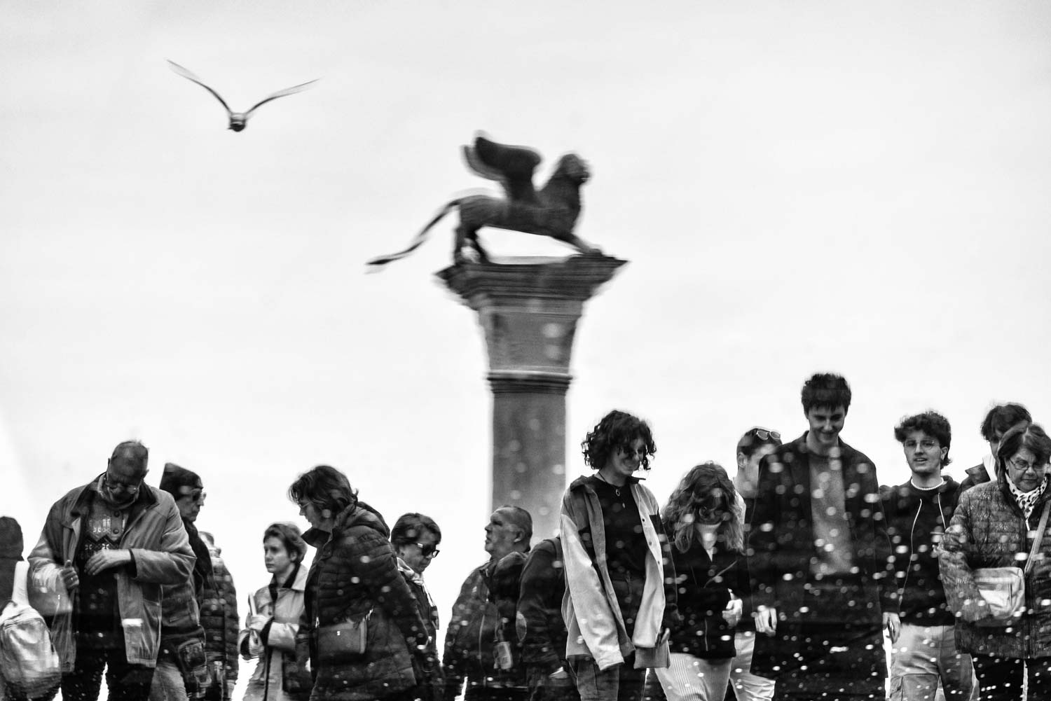 Nikos Aliagas, Venedig (2022) Nikos Aliagas, Venedig (2022)