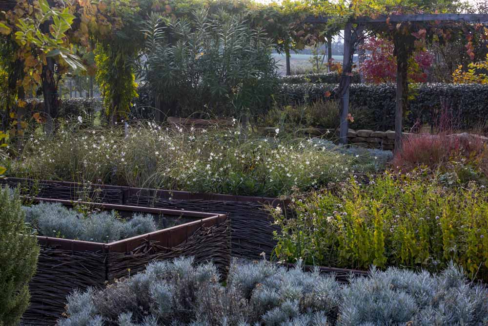 Le jardin d'ornement