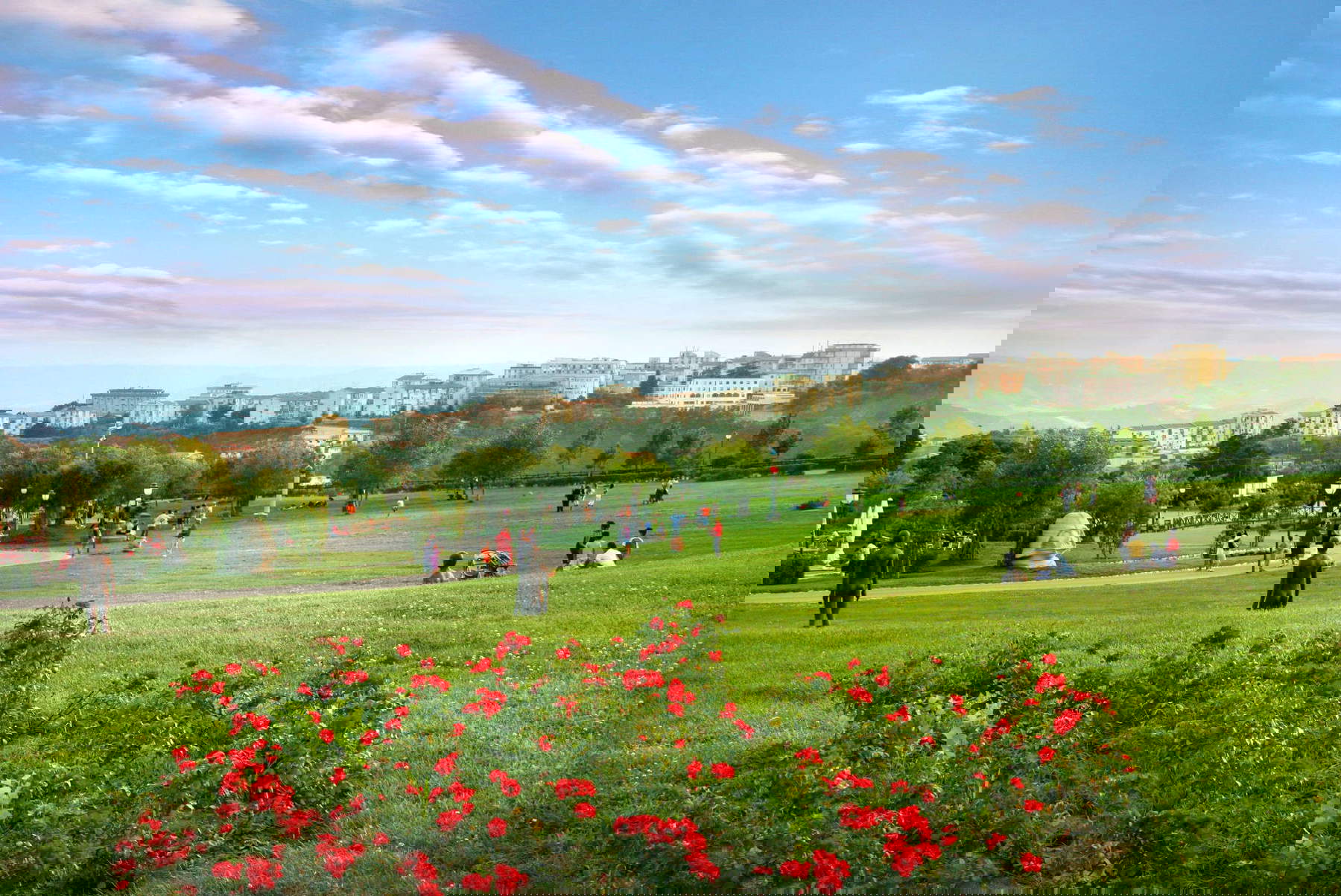 Der mediterrane Biodiversitätspark in Catanzaro. Foto: Provinz Catanzaro