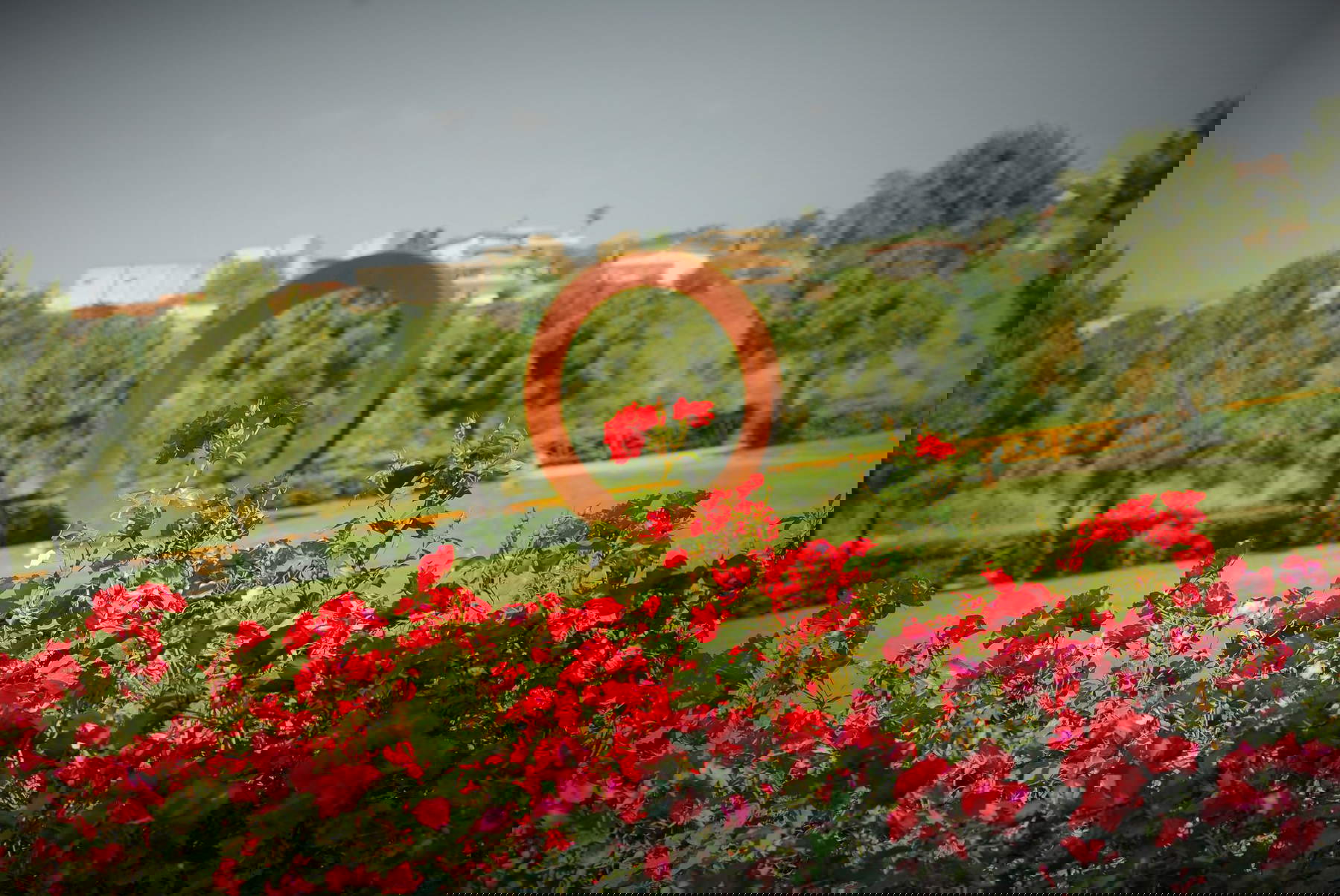 Der mediterrane Biodiversitätspark in Catanzaro. Foto: Provinz Catanzaro