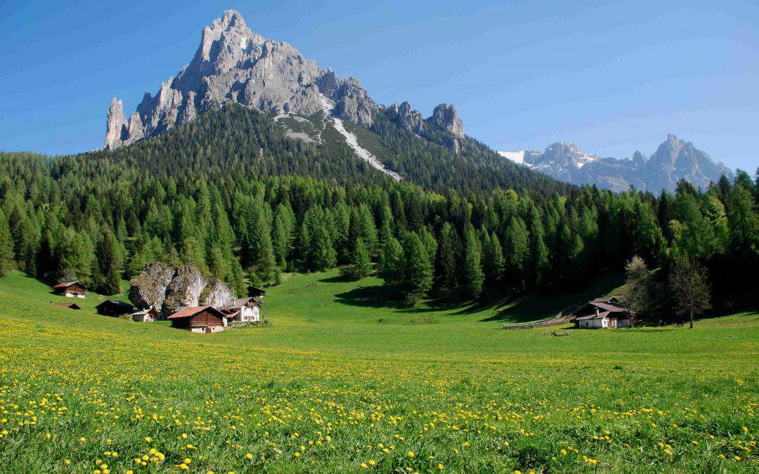 Il Parco Naturale Paneveggio Pale di San Martino Il Parco Naturale Paneveggio Pale di San Martino