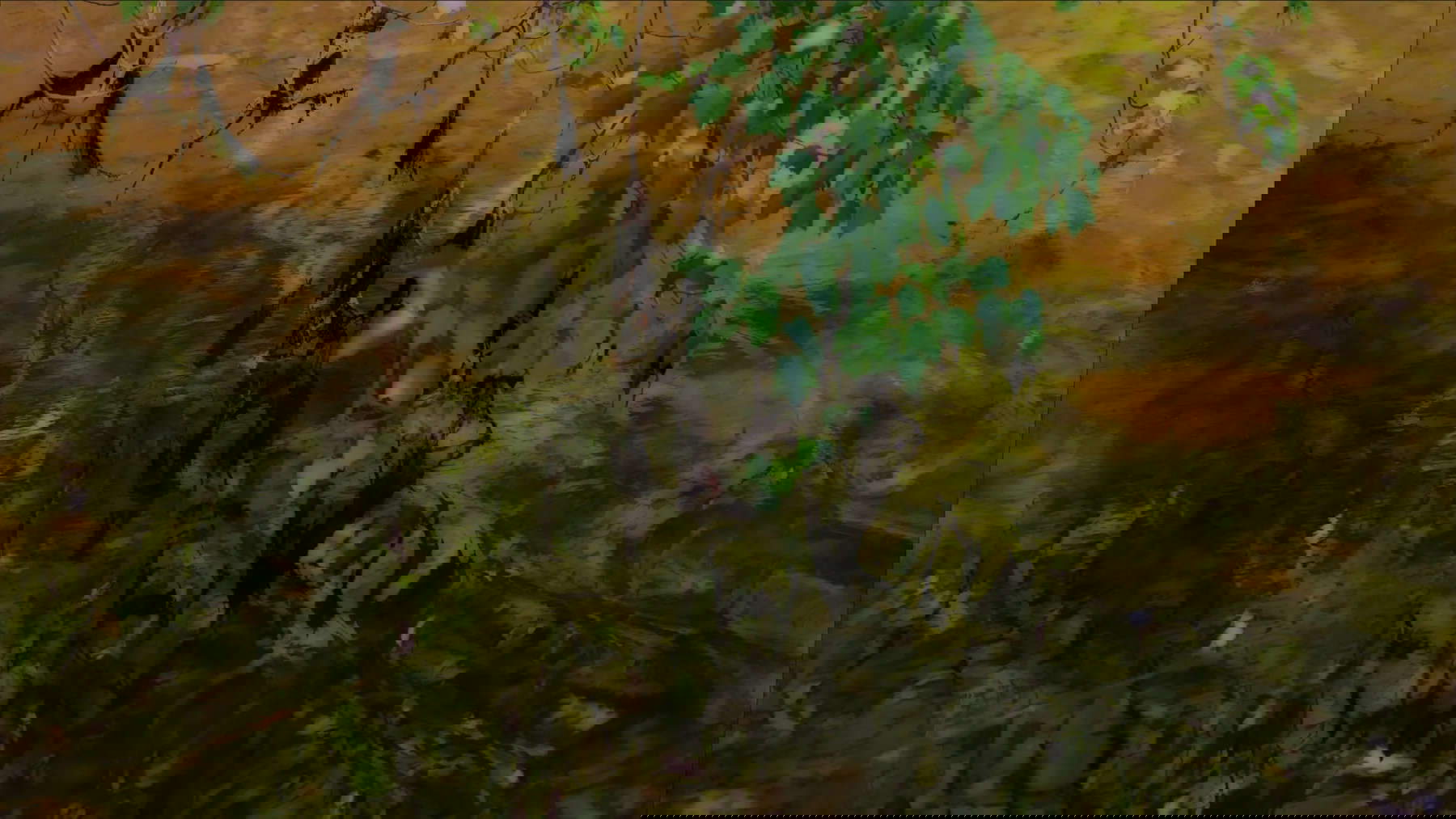 Peter Campus, Encore (2022; videography, 12:13 minutes)