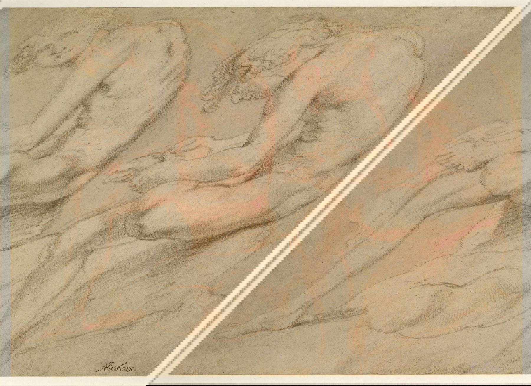 Pieter Paul Rubens, Due studi di un ragazzo tratti dallo “Spinario” (1601- 1602; gesso rosso su carta, 26,1 x 36 cm; Londra; British Museum) © The Trustees of the British Museum Pieter Paul Rubens, Due studi di un ragazzo tratti dallo “Spinario” (1601- 1602; gesso rosso su carta, 26,1 x 36 cm; Londra; British Museum) © The Trustees of the British Museum