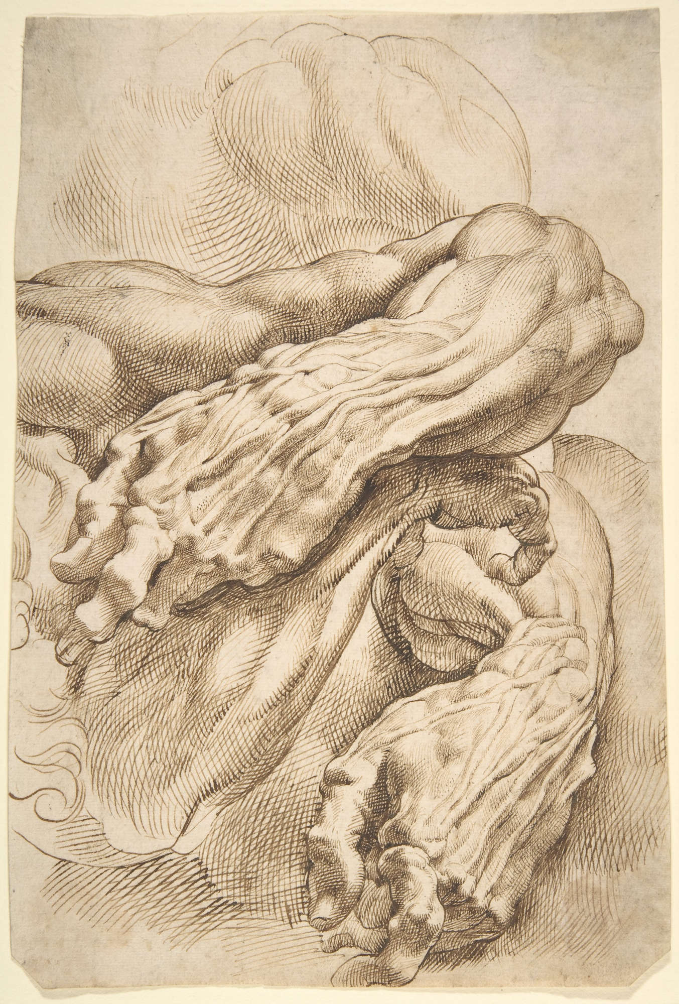 Pieter Paul Rubens, Studio anatomico (1600 – 1605; penna e inchiostro marrone, 27,8 x 18,6 cm; New York, The Metropolitan Museum of Art) Pieter Paul Rubens, Studio anatomico (1600 – 1605; penna e inchiostro marrone, 27,8 x 18,6 cm; New York, The Metropolitan Museum of Art)