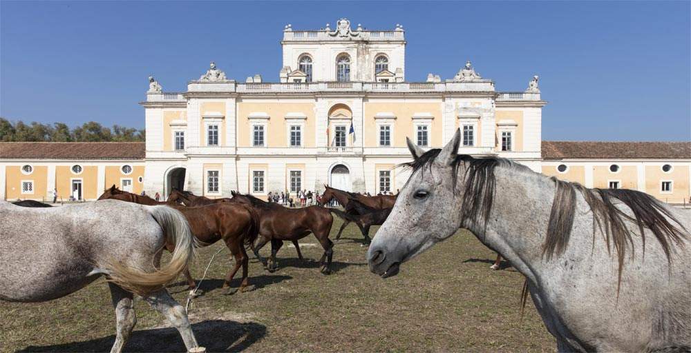 Des promenades à cheval et des reconstitutions historiques pour mettre en valeur la Reggia di Carditello ?