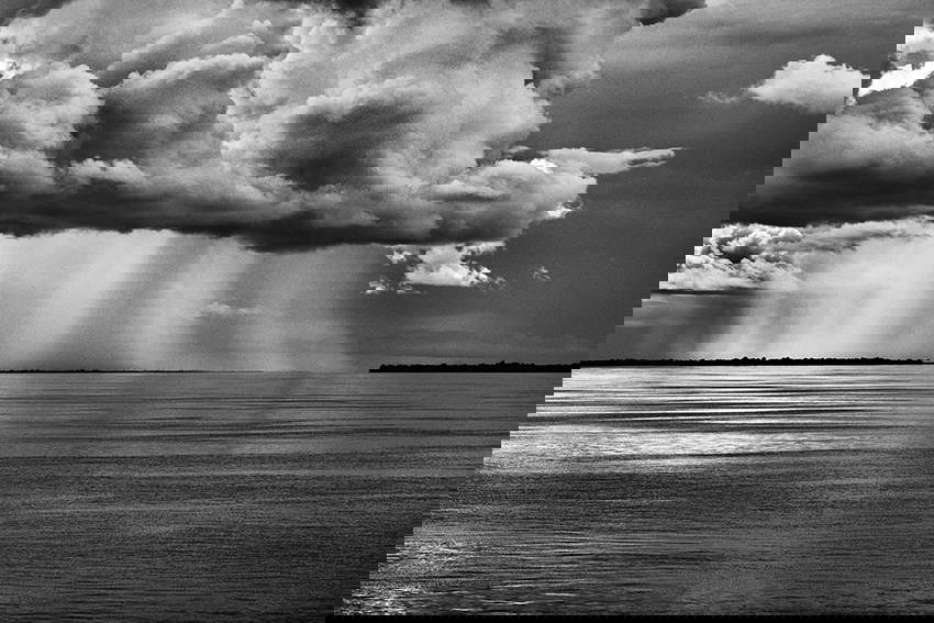 Rio Negro. État d'Amazonas, Brésil, 2019