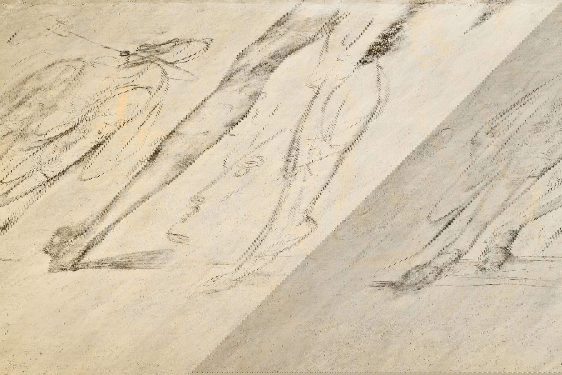 Stanza segreta di Michelangelo. Foto: Francesco Fantani