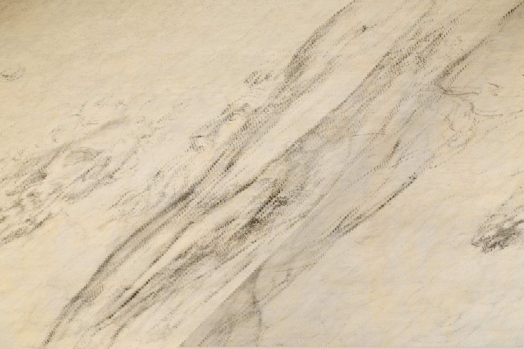 Stanza segreta di Michelangelo. Foto: Francesco Fantani