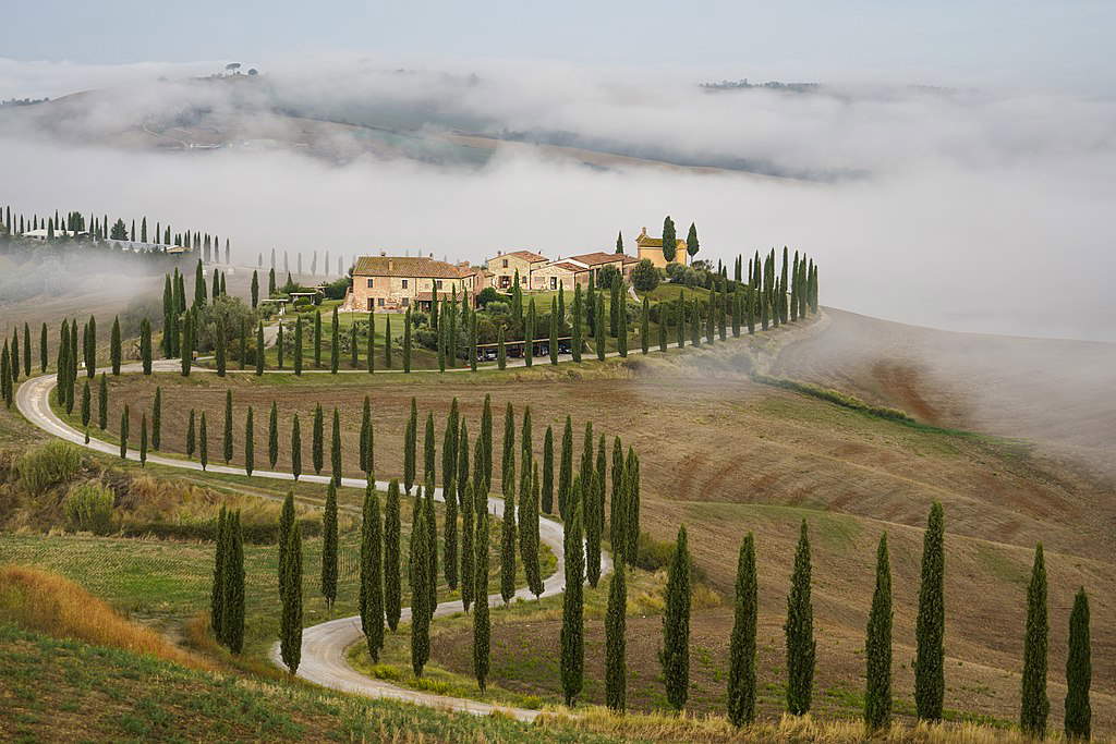 Cypress Avenue. Photo: Wikimedia Commons/Repuli Cypress Avenue. Photo: Wikimedia Commons/Repuli