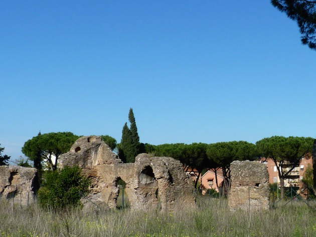 Villa delle Vignacce Villa delle Vignacce