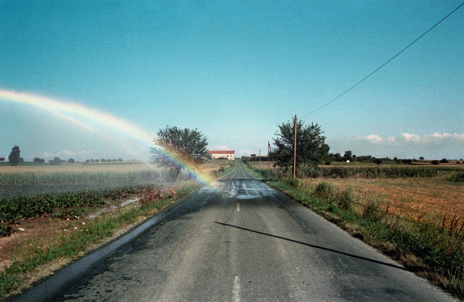 Vittore Fossati, Oviglio, Alessandria (1981; © Vittore Fossati - Museo de Fotografía Contemporánea, Milán-Cinisello Balsamo) Vittore Fossati, Oviglio, Alessandria (1981; © Vittore Fossati - Museo de Fotografía Contemporánea, Milán-Cinisello Balsamo)