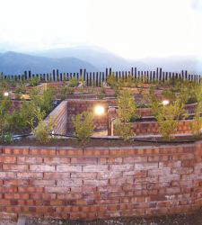 A labyrinth in the archaeological park: the Basileus Archaeopark in Basilicata