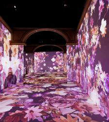 Un paradiso in fioritura: a Firenze l'installazione di Felice Limosani da scoprire coi sensi