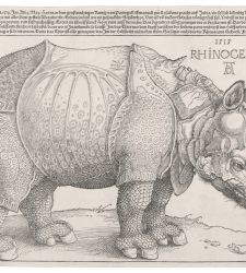 Three hundred masterpieces from Zurich's Graphische Sammlung on display at MASI, from DÃ¼rer to Warhol