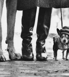 À la Palazzina di Caccia di Stupinigi, les photographies d'Elliott Erwitt sur la famille 