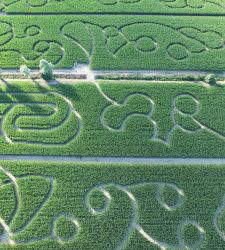 Un laberinto de maíz que cambia cada año: el Laberinto de Hort en Le Marche