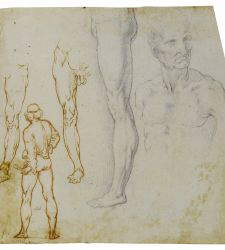 Une exposition sur les études anatomiques de Léonard de Vinci