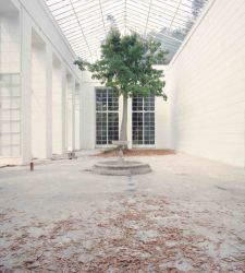 Una exposición en Reggio Emilia reflexiona sobre la naturaleza a partir de las fotografías de Luigi Ghirri 